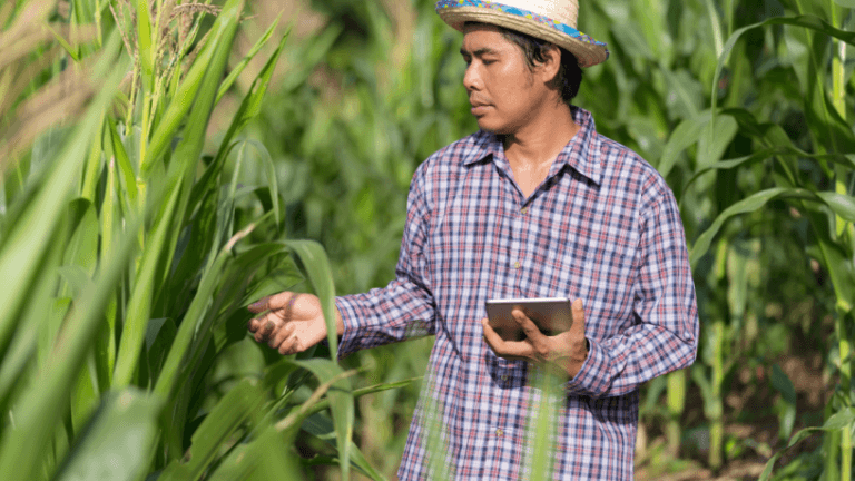 Qualidade no uso da tecnologia impulsiona crescimento da agricultura brasileira acima dos insumos