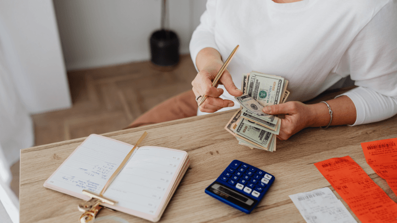 Sindnapi - Sindicato Nacional dos Aposentados, Pensionistas e Idosos